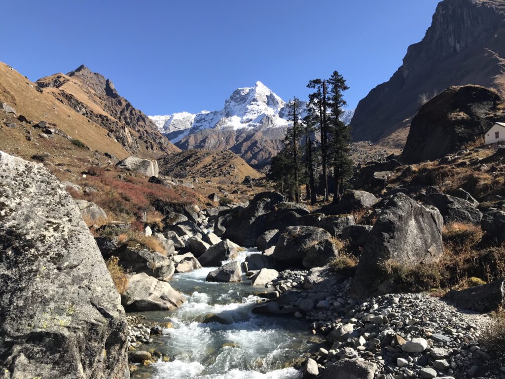 Semester | Feb 1, 2026 - Apr 11, 2026 Course Image